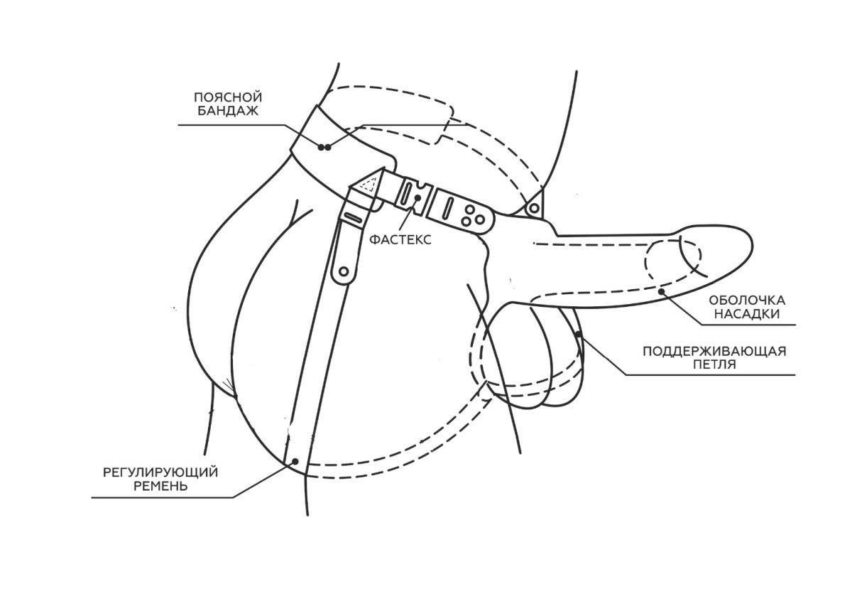 Телесный поясной парапротез - 17 см. — изображение 3