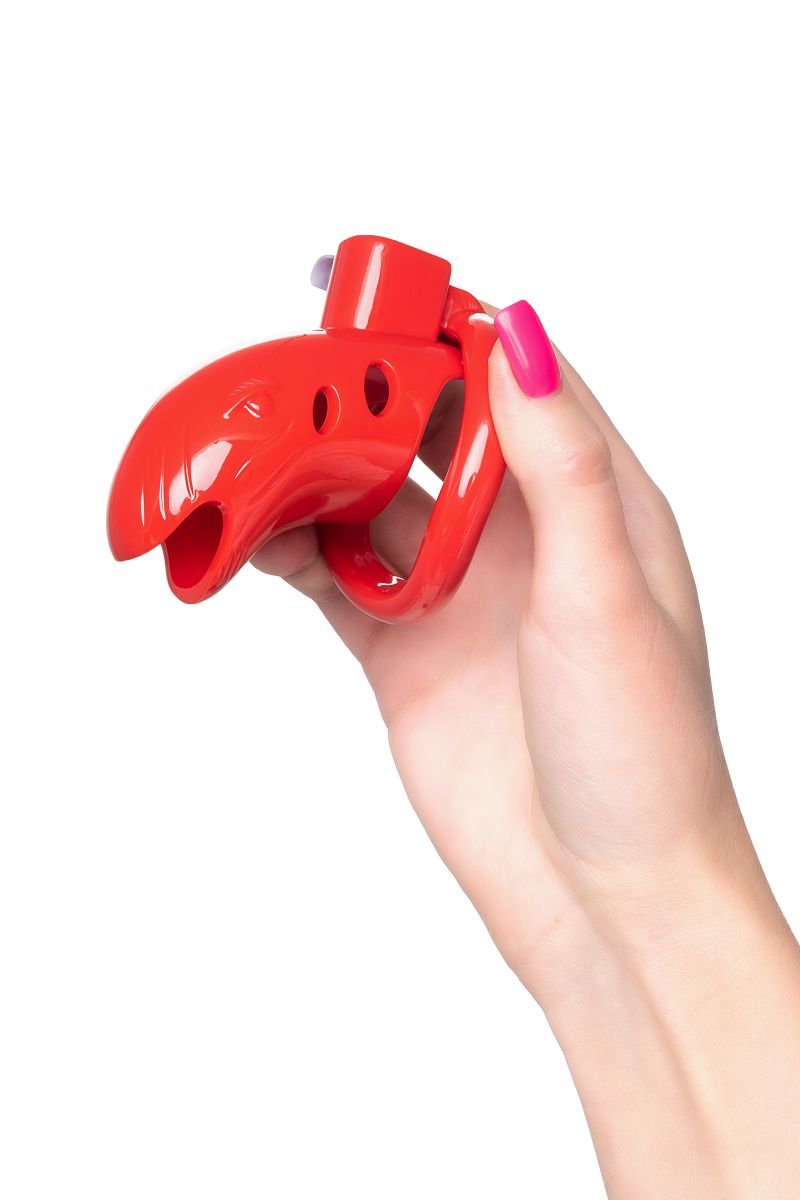 Красный мужской пояс верности из пластика — изображение 8