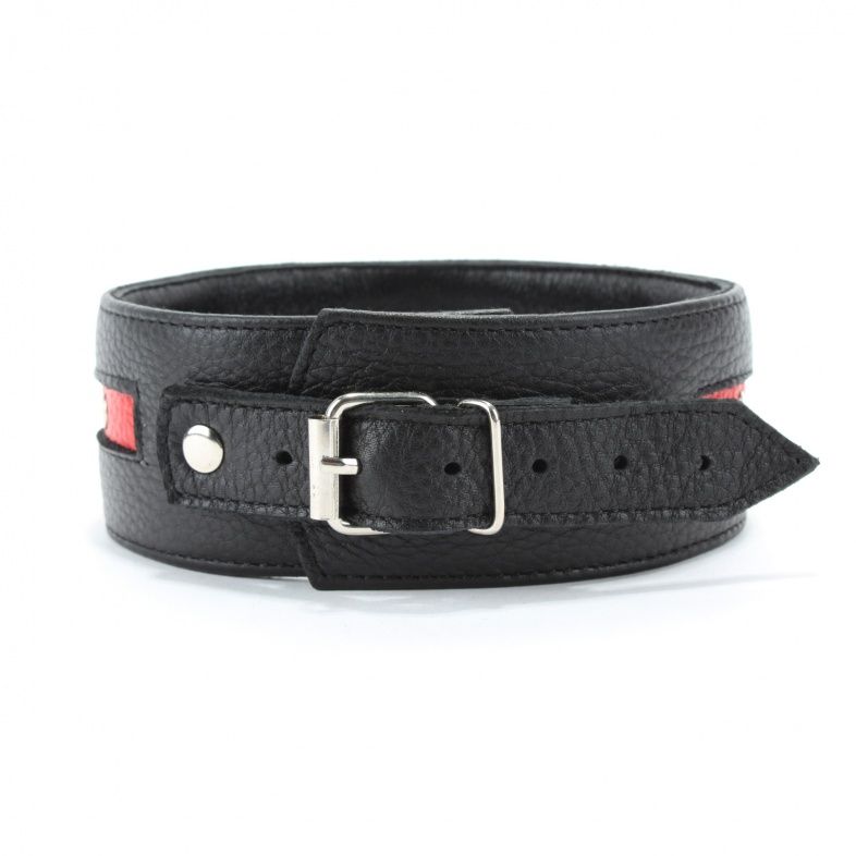 Черно-красный ошейник на пряжке — изображение 3