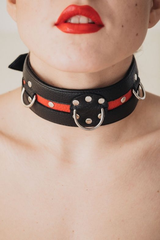 Черно-красный ошейник на пряжке — изображение 4